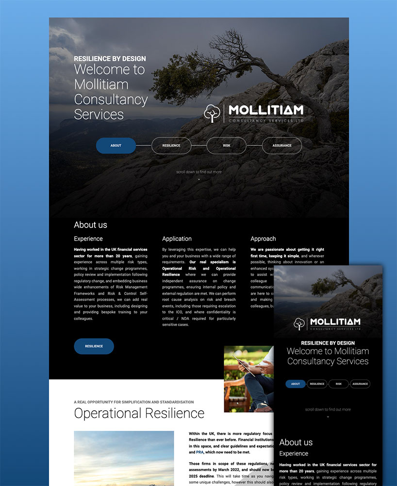 Mollitiam Consulatancy Services Website